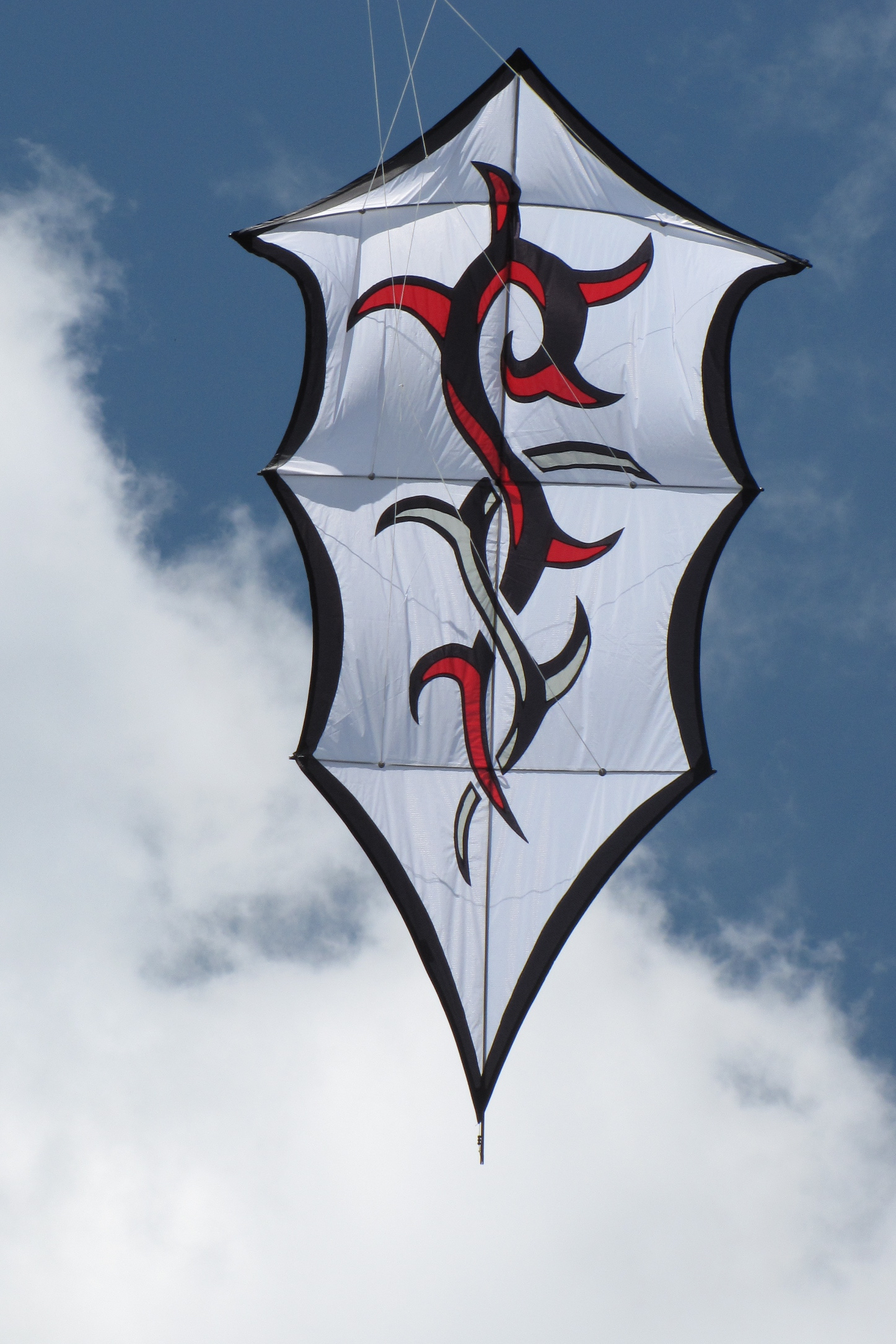 Tribal shield 
